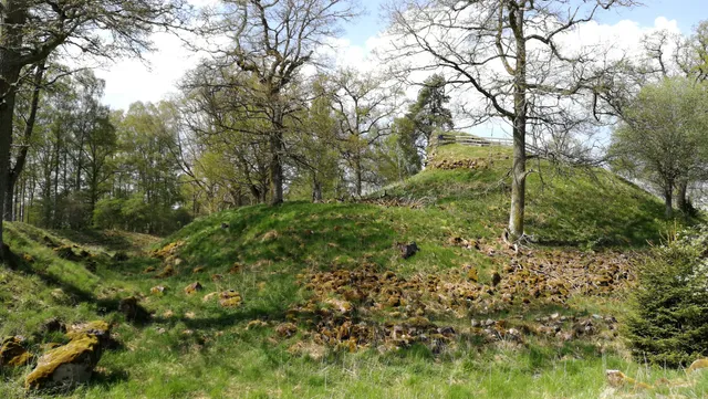 Svaneholms borgruin, Östergötland