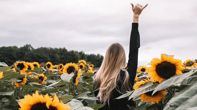 La Belle de Coteau-du-Lac