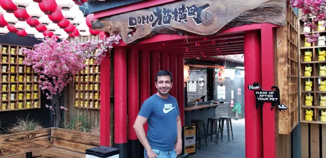 Domo Alley-Gato Tatsu-Ya