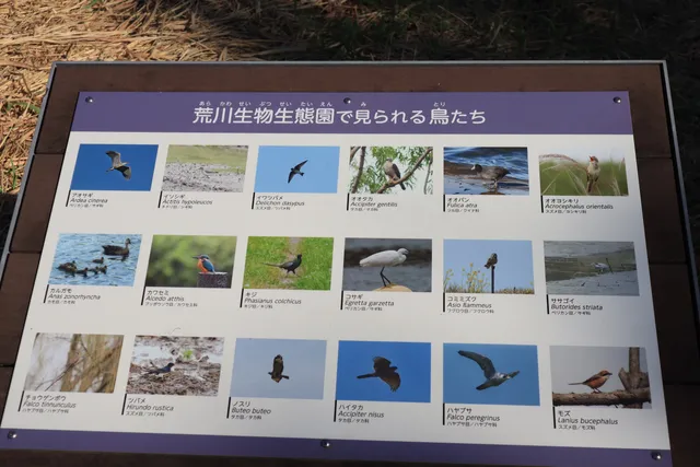 Arakawa Biology and Ecology Park