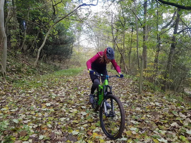 Aston Hill Bike Park