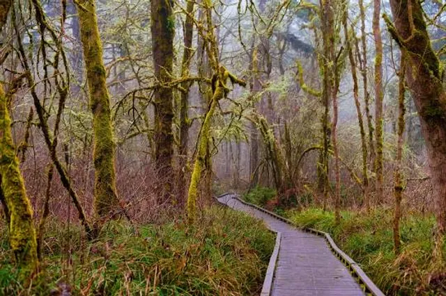 Tualatin Hills Nature Park