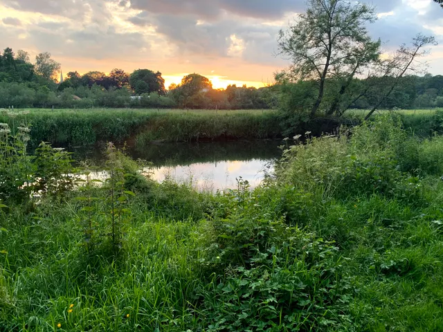 Lagan Towpath