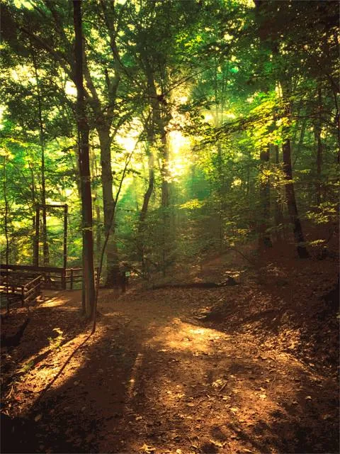 Nature Realm Visitor Center