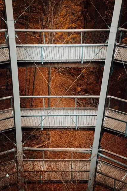 Baumwipfelpfad Steigerwald Tower