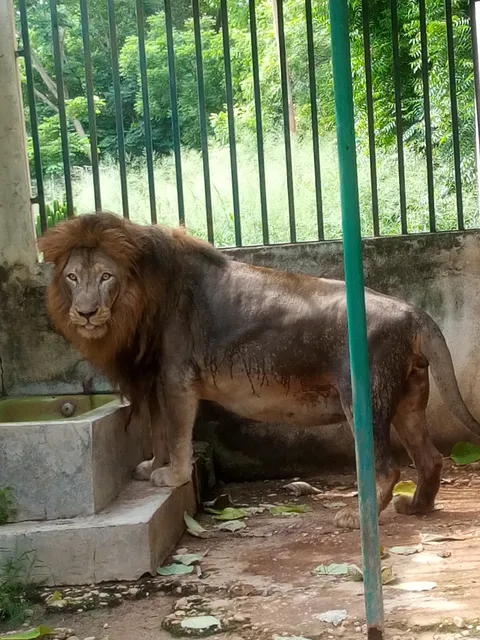 Garoua Zoological Garden