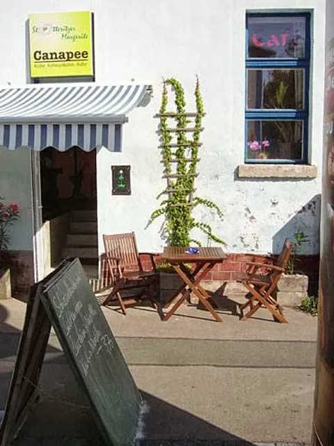 Stötteritzer Margerite