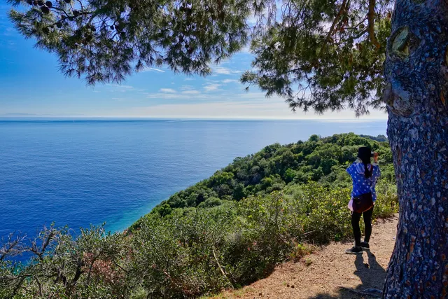 Ocean Scenic Overlook