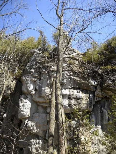 Metcalfe Rock