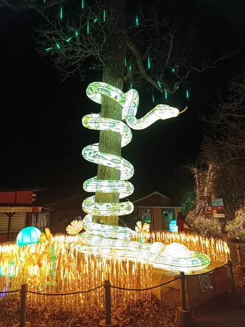 festival luminescences