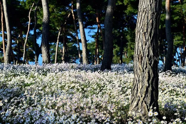 Okjeongho Gujeolcho Theme Park