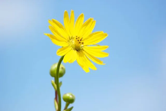 Badger Prairie County Park