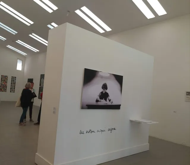 Fundação Vera Chaves Barcellos