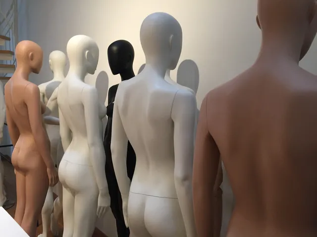 Fashion & Lace Museum