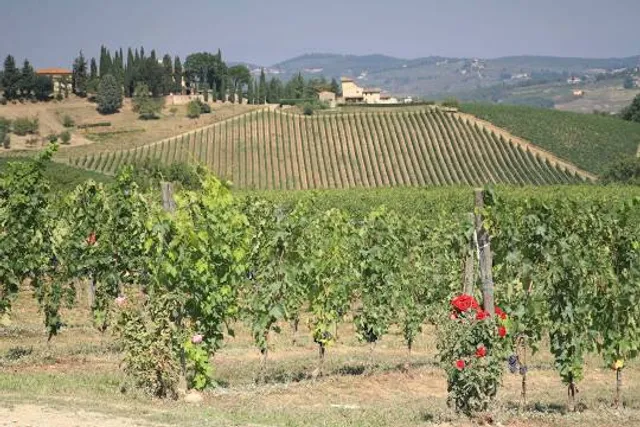 The Chinati Foundation