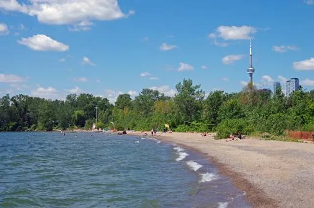Ward's Island Beach