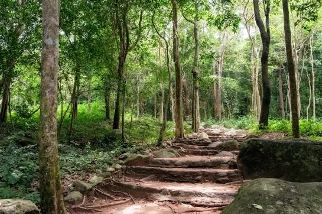 Makiling Rainforest Park