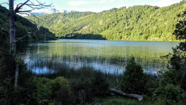 Lago Totoral