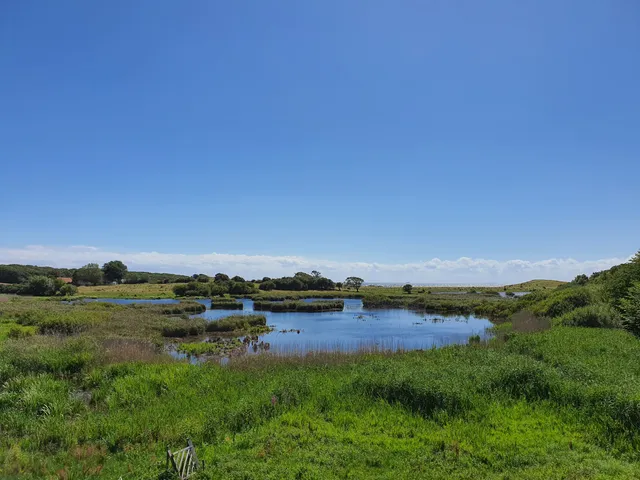 Gulstav Mose, fuglereservat