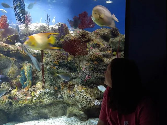 North Carolina Aquarium at Fort Fisher