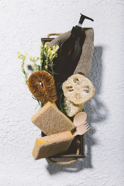 Skull And Skeleton Museum