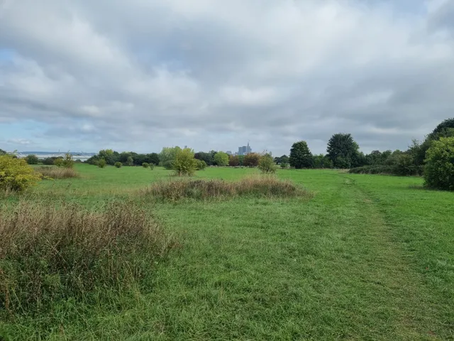 Round Shaw Downs LNR