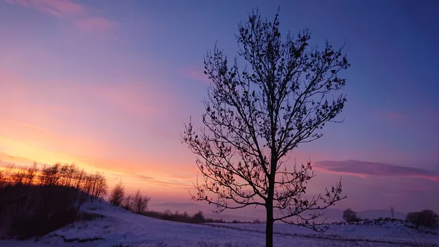 Lyžiarsky Klub Cigeľ