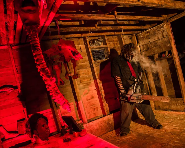 Pine Island Township