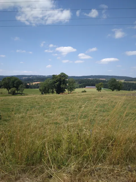 Vélorail d'Allègre