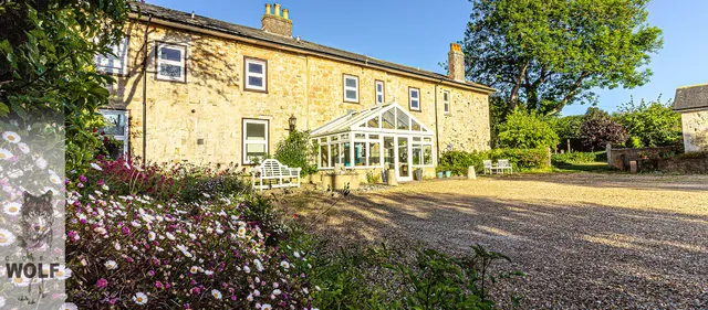 Cosy Wolf Bed and Breakfast