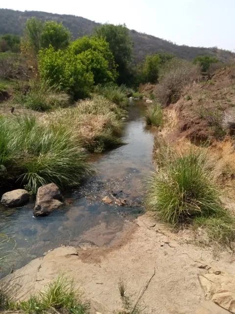 Klipriviersberg Municipal Nature Reserve