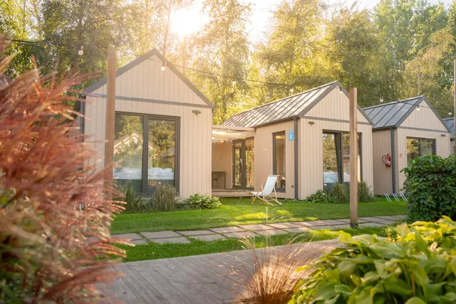 Camping under cypresses