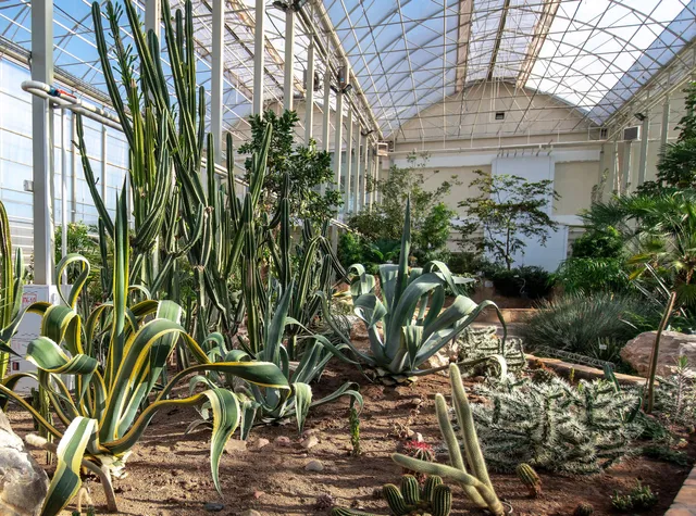 Botanicheskiy Sad Kemgu