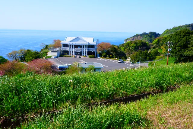 Echizen Cape Narcissus Land