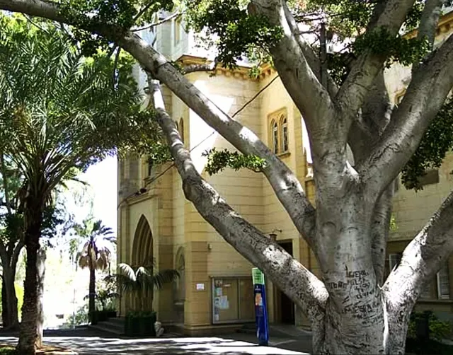 Viera y Clavijo Park