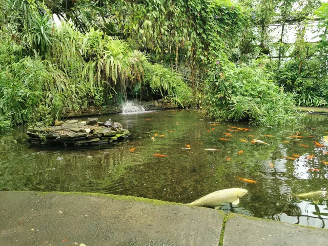 Roath Park Conservatory
