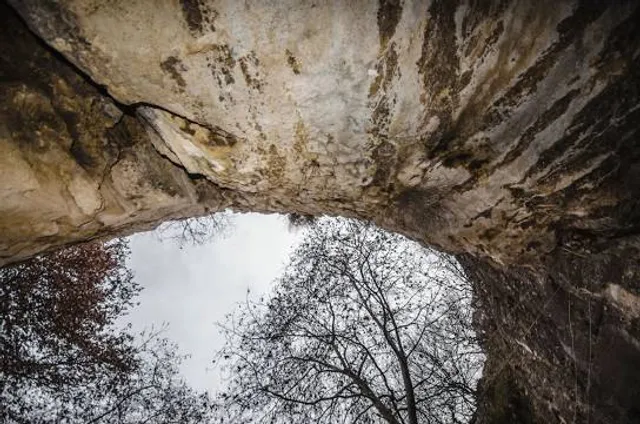 Damcılı mağarası
