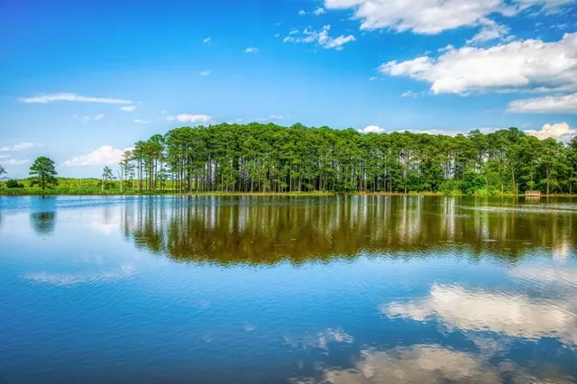 Niaosong Wetland Park