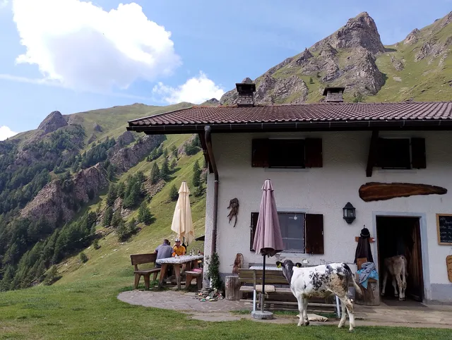 Simile-Mahd-Alm-Hütte