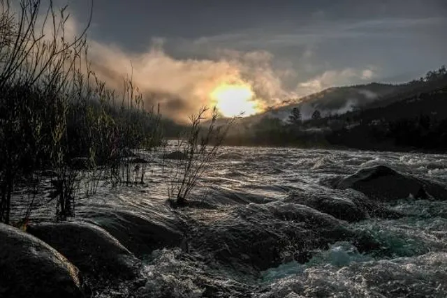 Bear Wallow Farm - Kentucky's #1 Fall Festival & Pumpkin Patch