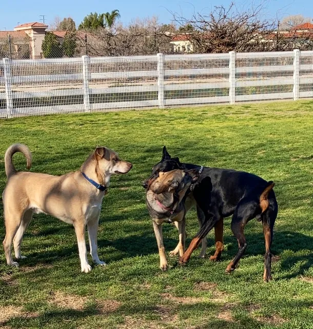Redhawk Community Park