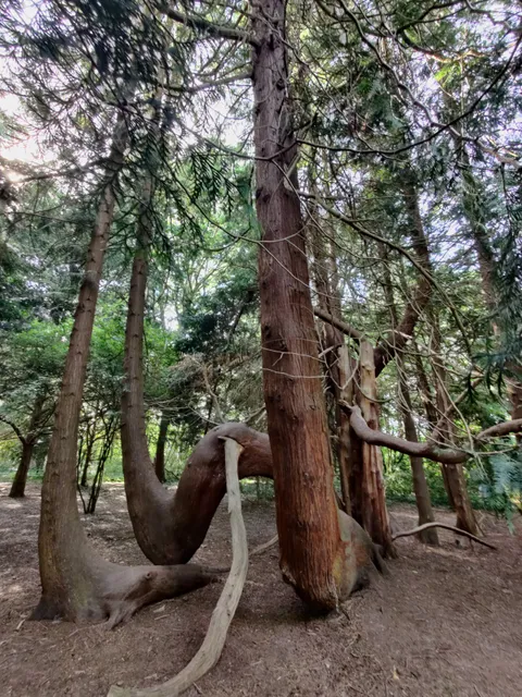 Forstbotanisk Have