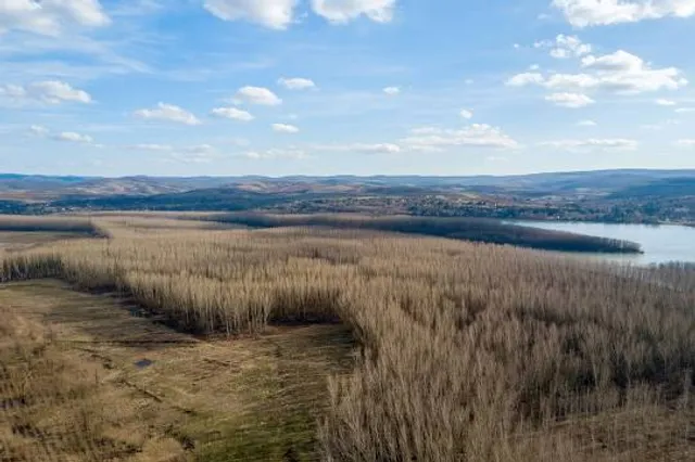 Lake Berzdorf Observation Tower