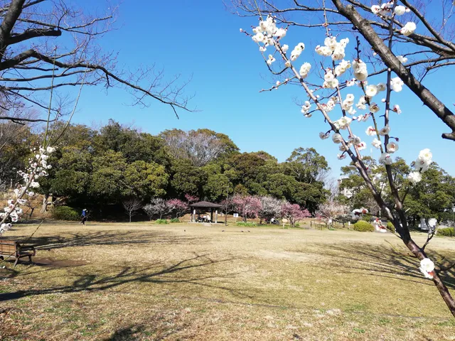 Yokodainishi Park
