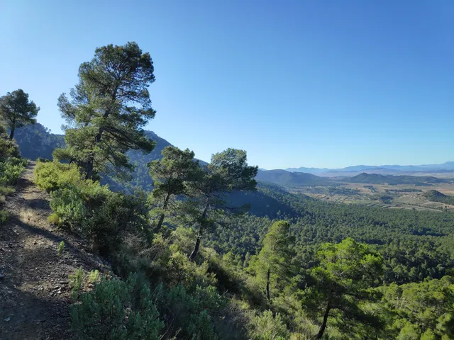 Collado De La Madera