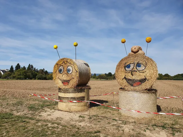 Maislabyrinth Weiskirchen
