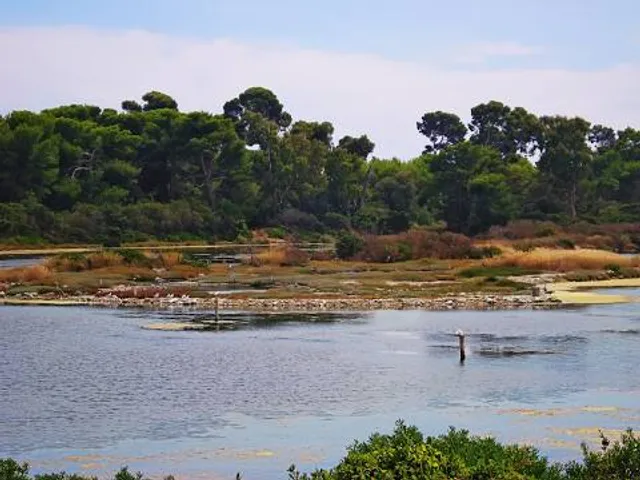 Casa dos Patudos - Museu de Alpiarça