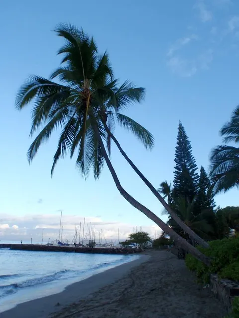 Lahaina Beach