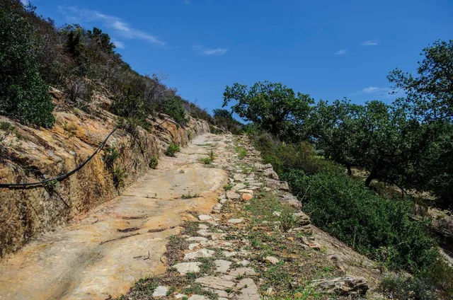 Bosco di Rùdina (S.I.C.)