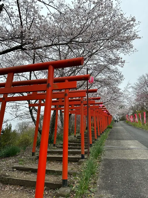 photo-3